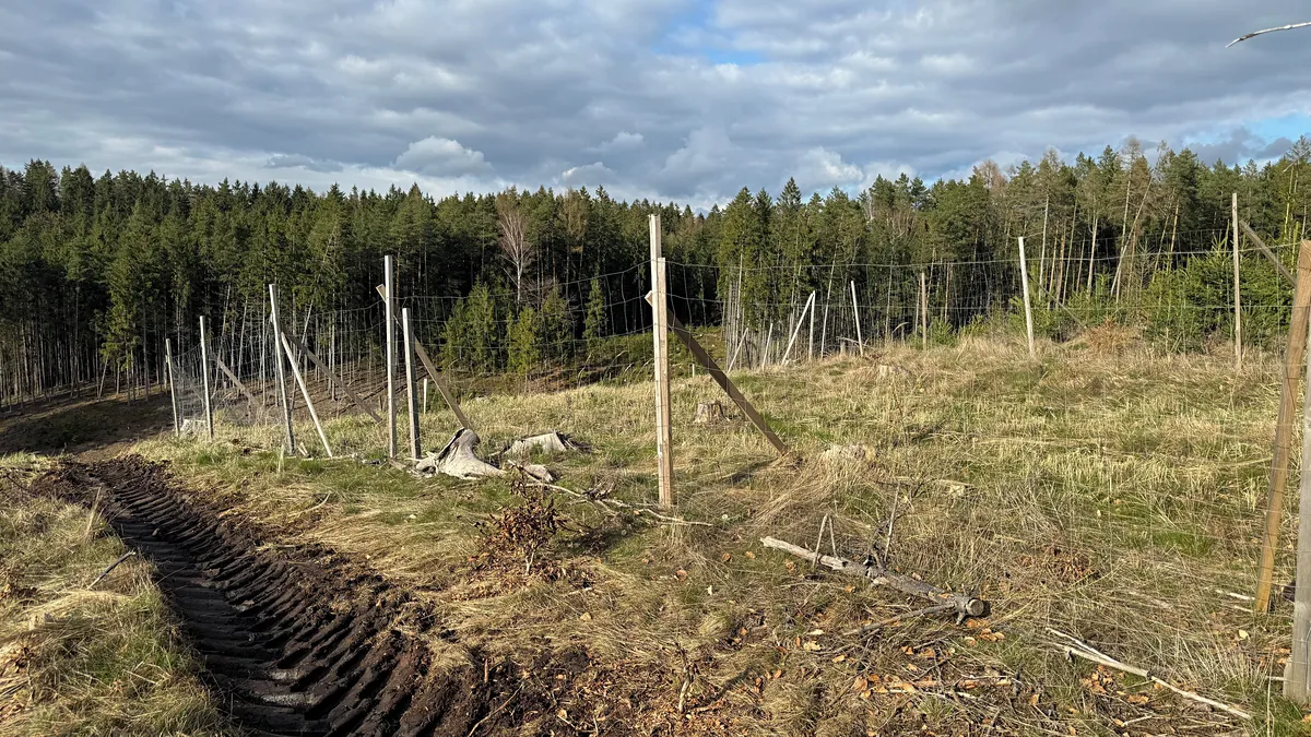 Fotka 11 z 20
