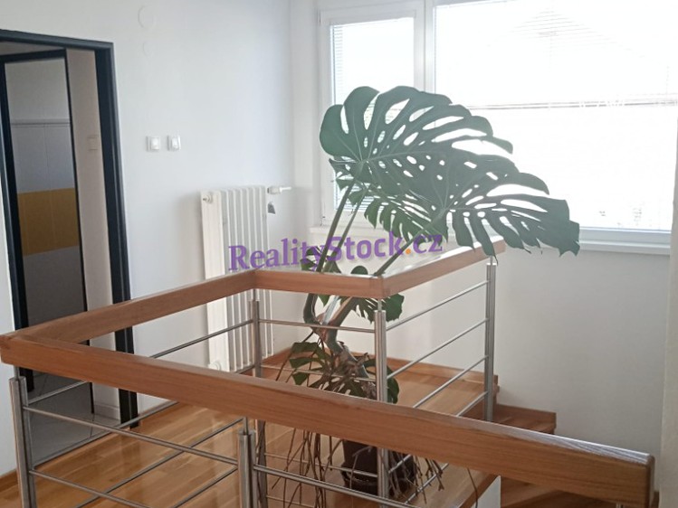 Prodej domu, 280 m² (12 z 33)