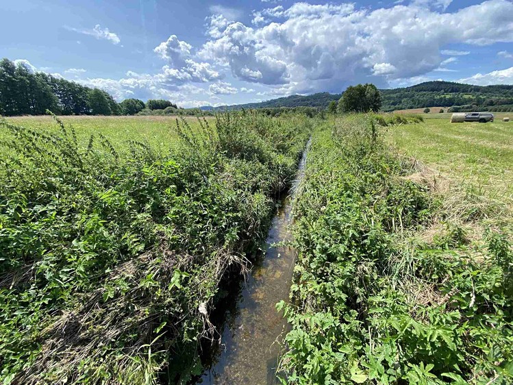 Grundstück zum Kauf, 55.481 m² (19 von 30)