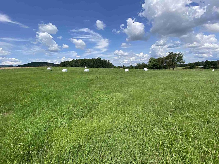 Grundstück zum Kauf, 55.481 m² (10 von 30)