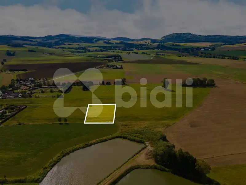Prodej stavebního pozemku 2673 m², Nýrsko – náhled fotky 1