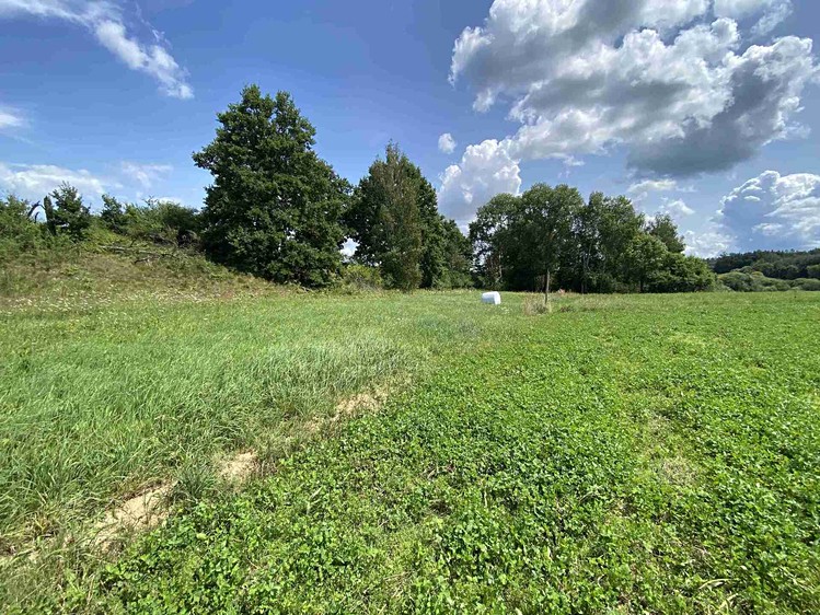 Grundstück zum Kauf, 55.481 m² (7 von 30)