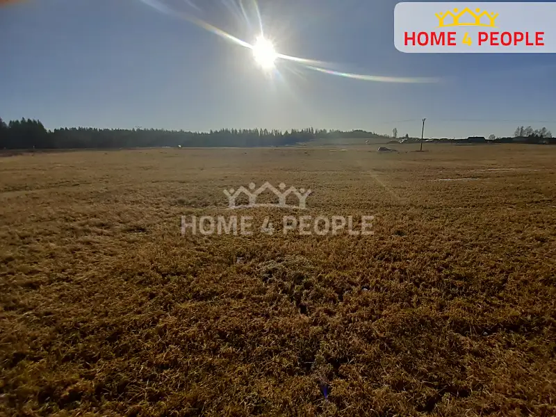 Prodej louky 9804 m², Černá v Pošumaví – náhled fotky 2