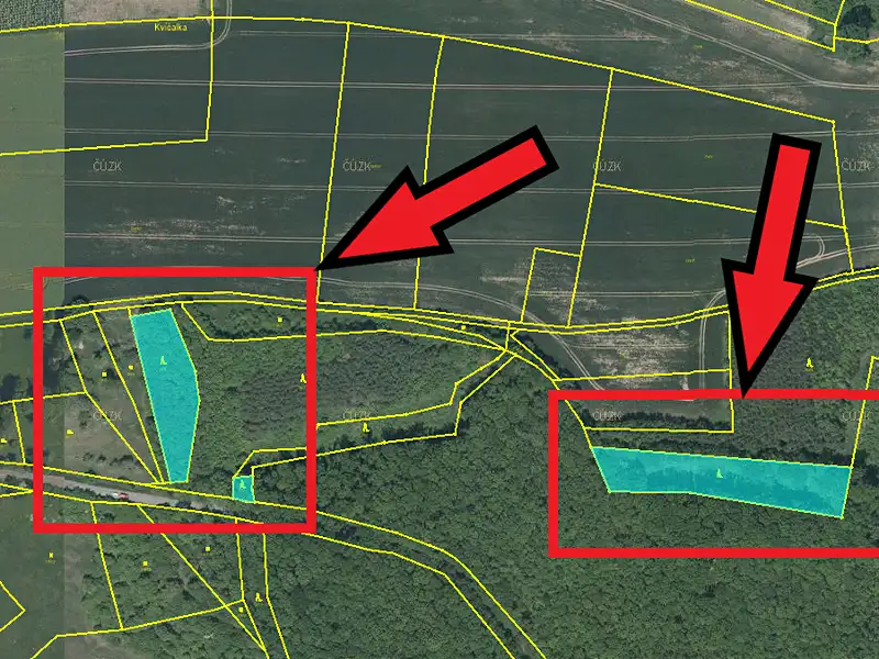 Prodej lesa 5824 m², Bačalky – náhled fotky 2