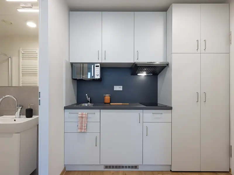 Pronájem bytu pokoje 31 m², Praha – náhled fotky 3