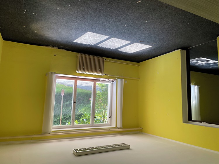 Gewerbefläche zur Miete, 360 m² (3 von 8)