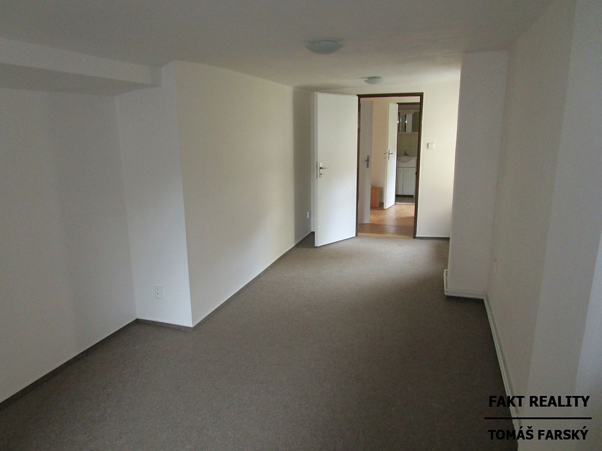 Pronájem bytu 1+1 39 m² – fotografie 4