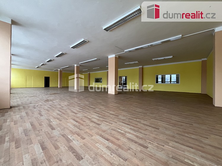 Pronájem komerčního prostoru, 55 m² (12 z 74)