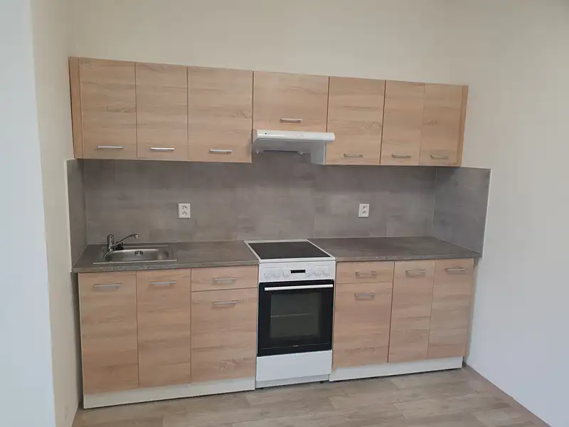 Pronájem bytu 2+kk 47 m², Teplice – náhled fotky 3