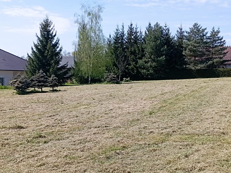 Grundstück zum Kauf, 2.947 m² (7 von 8)