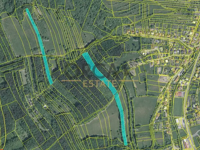 Prodej pole 49957 m², Horní Lhota – náhled fotky 1