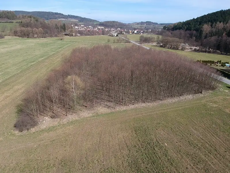 Prodej komerčního pozemku 10200 m², Čkyně – náhled fotky 1
