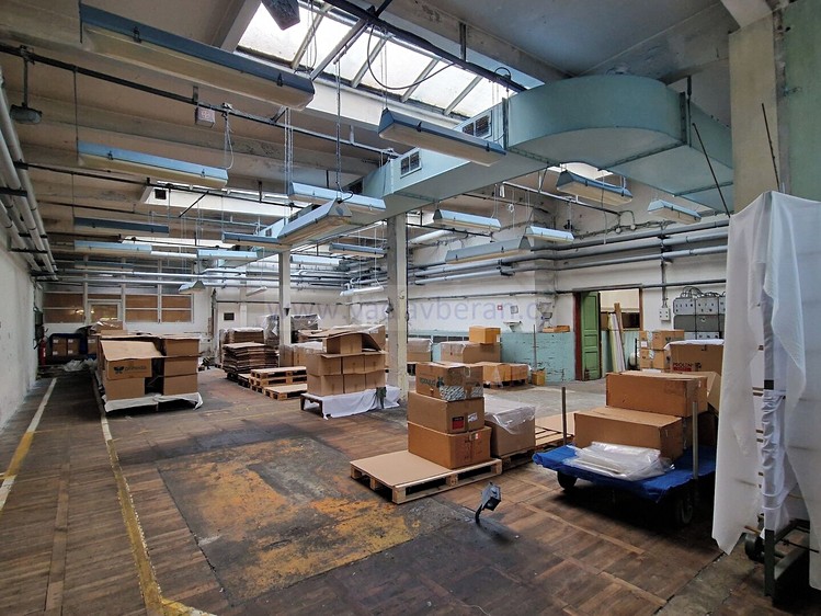 Gewerbefläche zur Miete, 3.050 m² (12 von 18)