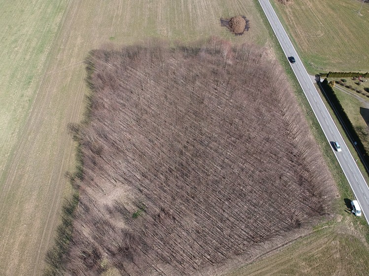 Prodej pozemku, 10 200 m² (2 z 5)