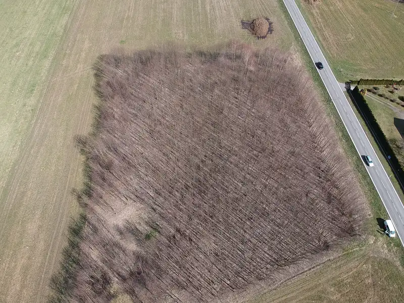 Prodej komerčního pozemku 10200 m², Čkyně – náhled fotky 2
