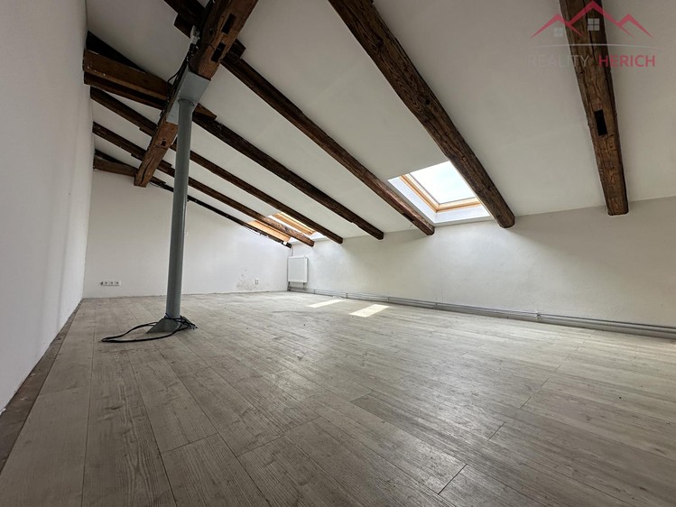 Pronájem komerčního prostoru, 1 200 m² (24 z 33)