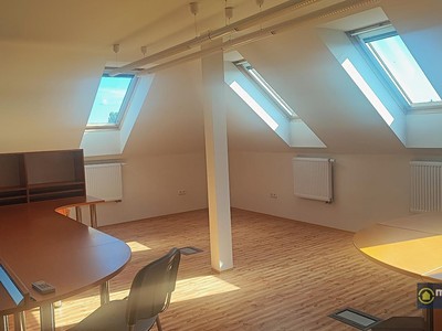 Pronájem komerčního prostoru, 118 m² (3 z 23)