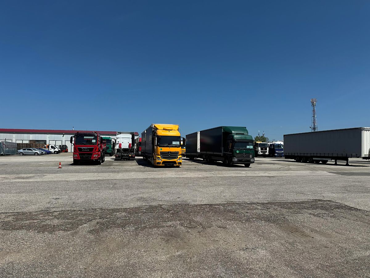Pronájem komerčního pozemku 4000 m² – fotografie 3