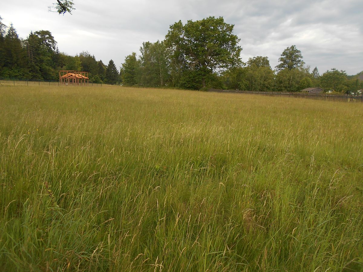 Prodej stavebního pozemku 3342 m²