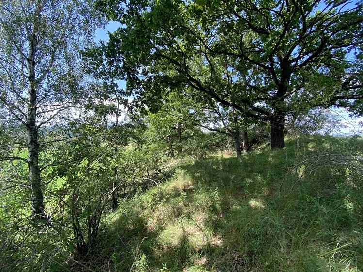 Grundstück zum Kauf, 55.481 m² (6 von 30)