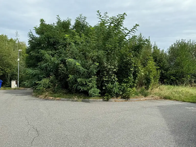 Prodej stavebního pozemku 833 m², Volyně – náhled fotky 3