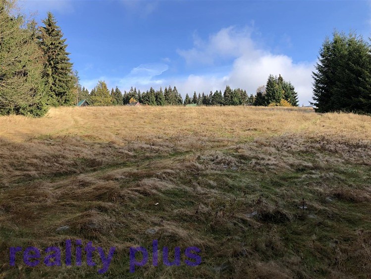 Prodej pozemku, 6 251 m² (6 z 7)
