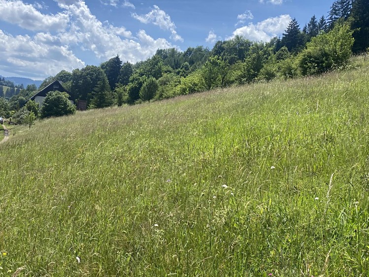 Prodej pozemku, 1 053 m² (7 z 10)
