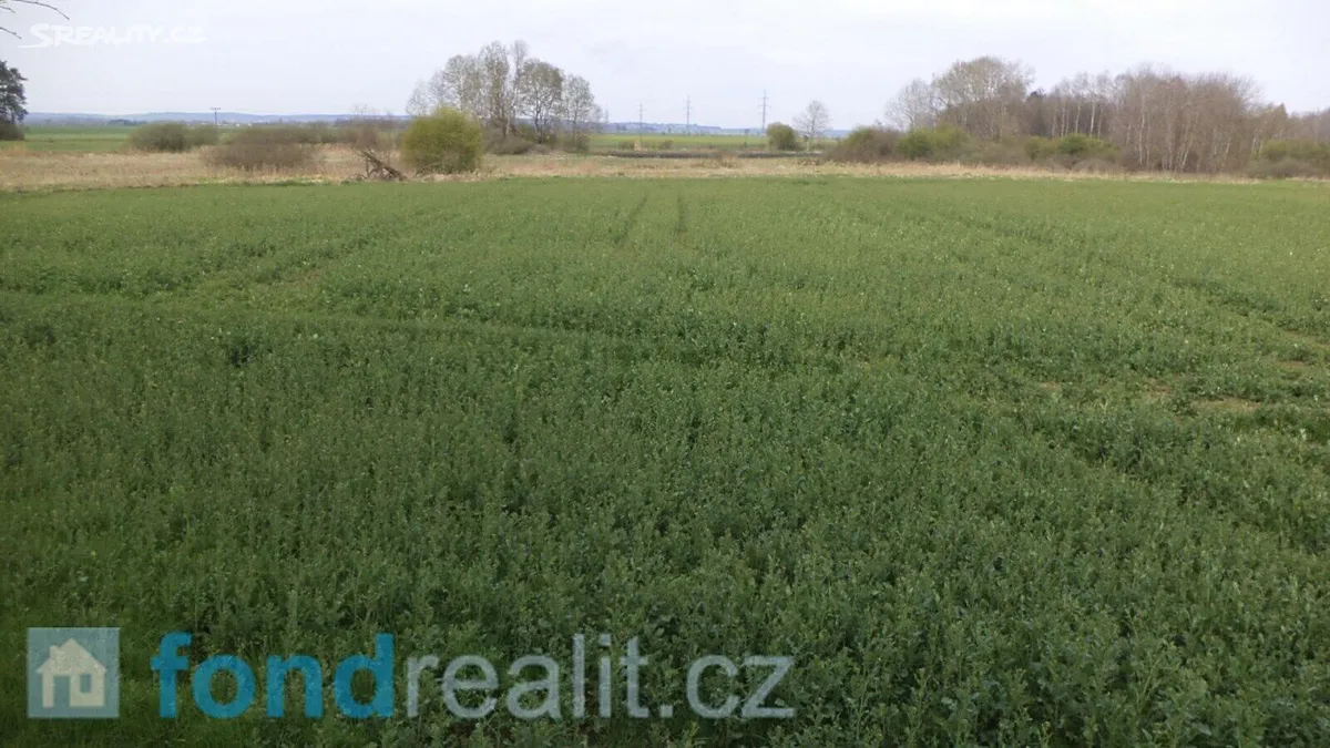 Prodej pole 3467 m², Žíšov