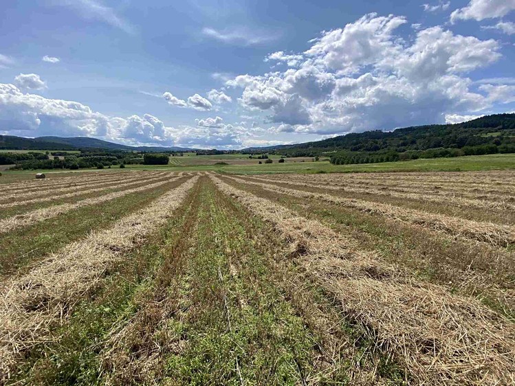 Grundstück zum Kauf, 55.481 m² (24 von 30)