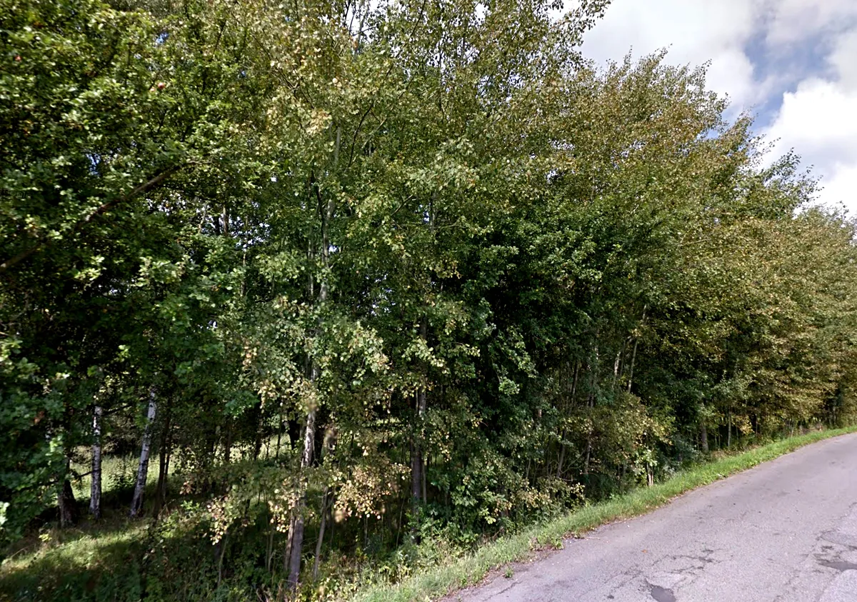 Prodej lesa 1692 m²