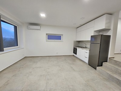 Pronájem bytu 2+kk 47 m² (Loft)