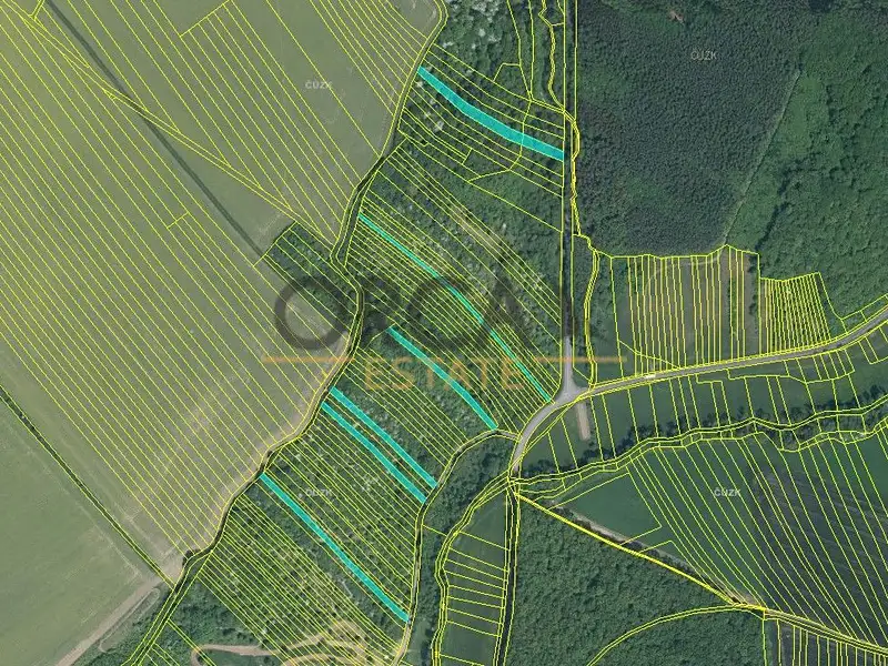 Prodej pole 17736 m², Březolupy – náhled fotky 3