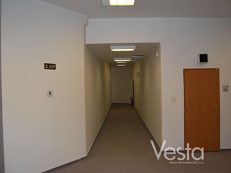Pronájem komerčního prostoru, 800 m² (6 z 19)