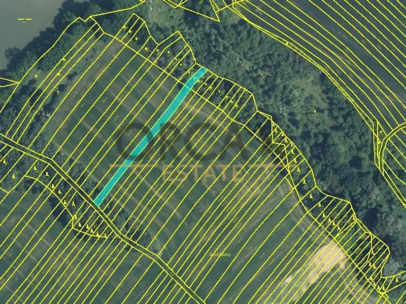 Prodej pole 6356 m², Mistřice – náhled fotky 2