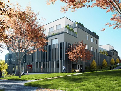 Real Estate Image
