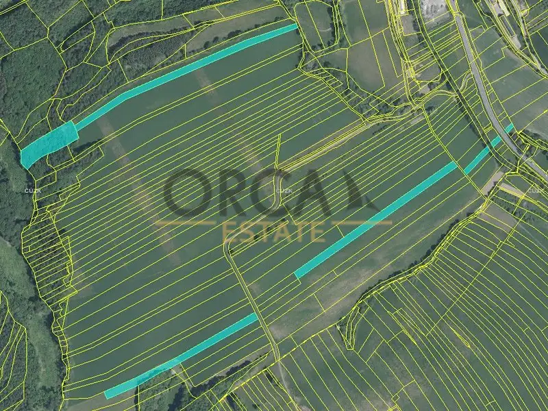 Prodej pole 49957 m², Horní Lhota – náhled fotky 3