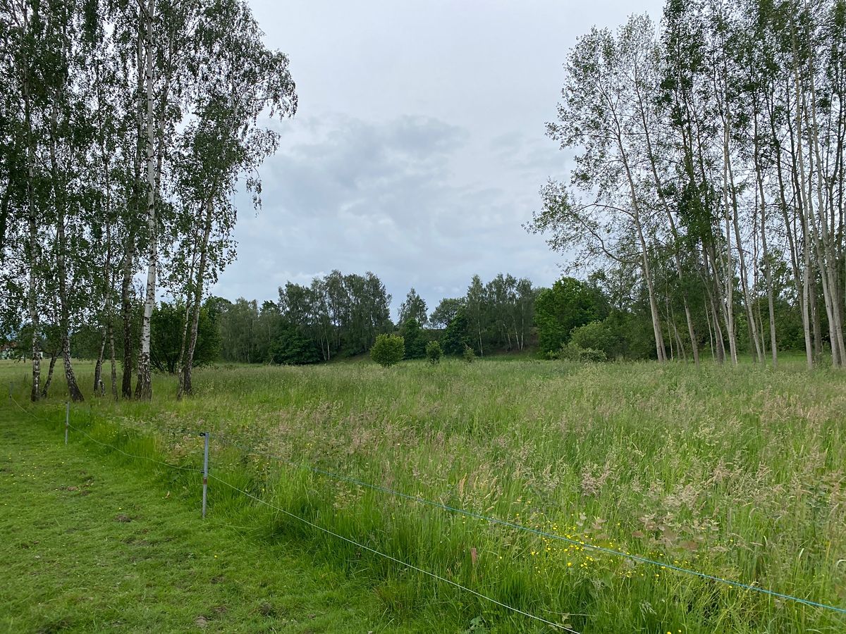 Prodej stavebního pozemku 1344 m² – fotografie 2