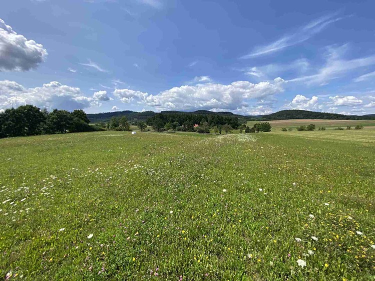 Grundstück zum Kauf, 55.481 m² (3 von 30)
