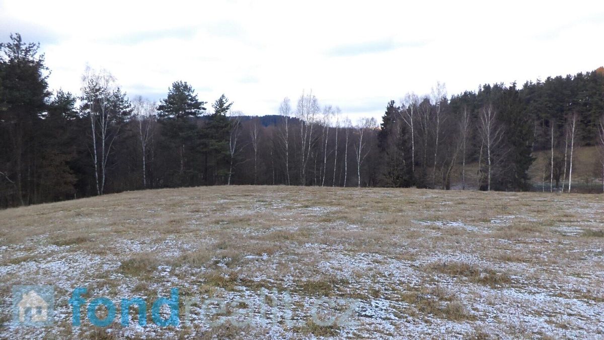 Prodej pole 12382 m²