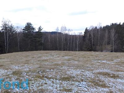 Prodej pole 12382 m²