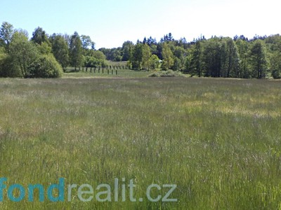 Grundstück zum Kauf, 50.580 m² (2 von 16)