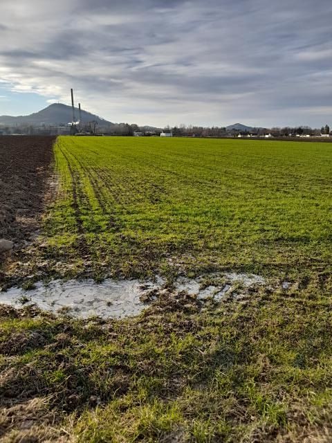 Pronájem zahrady 700 m² – fotografie 2