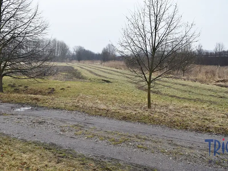 Prodej louky 1685 m², Velký Třebešov – náhled fotky 3