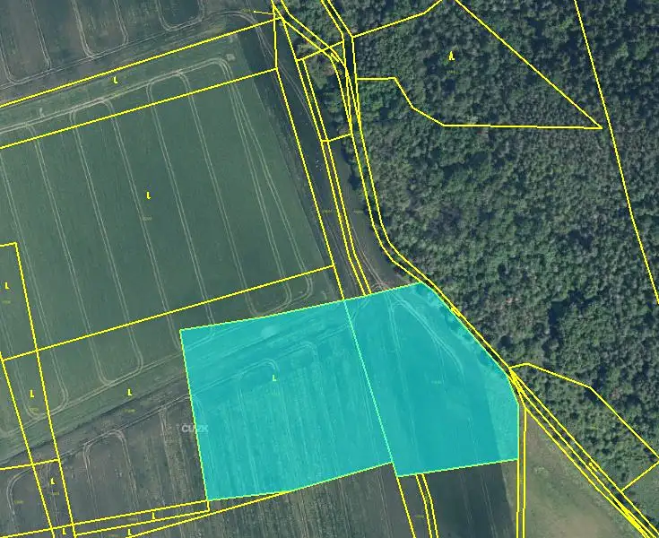 Prodej pole 116556 m², Nové Sedlo – náhled fotky 2