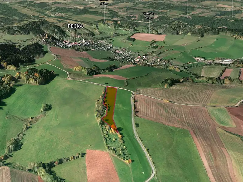 Prodej pole 15954 m², Pecka – náhled fotky 2