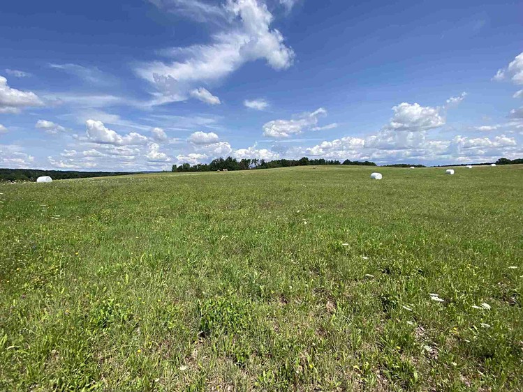 Grundstück zum Kauf, 55.481 m² (5 von 30)