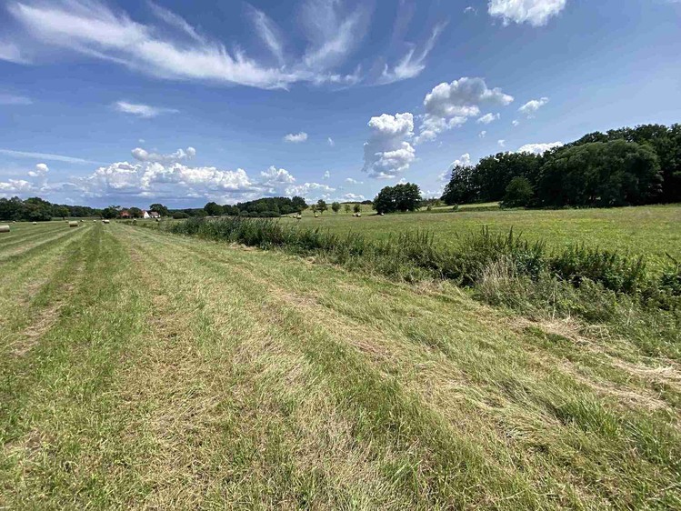 Grundstück zum Kauf, 55.481 m² (18 von 30)
