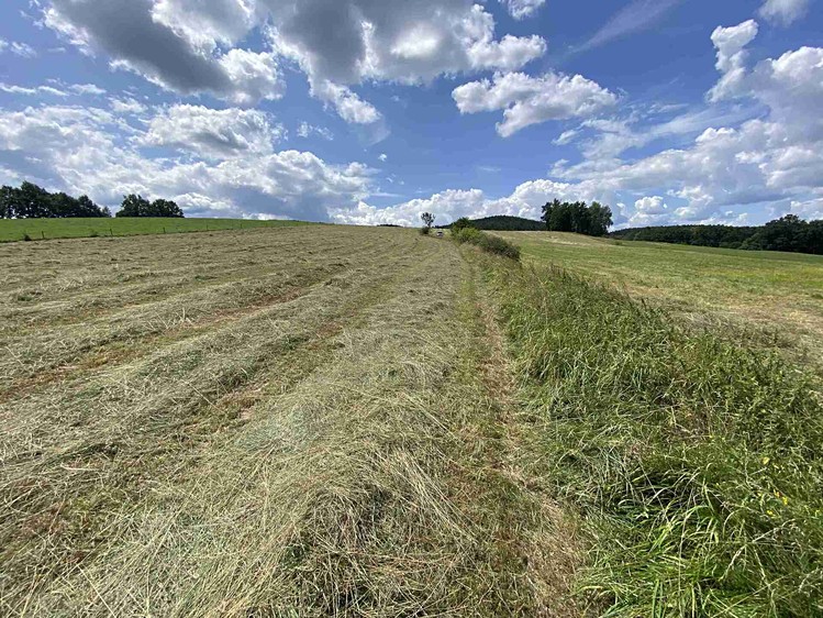 Grundstück zum Kauf, 55.481 m² (16 von 30)