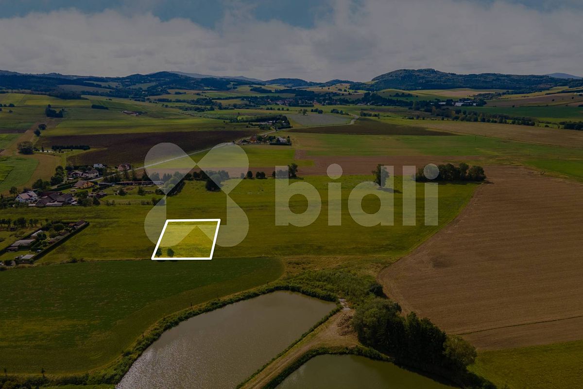 Prodej stavebního pozemku 2990 m², Nýrsko – fotka 1 z 3