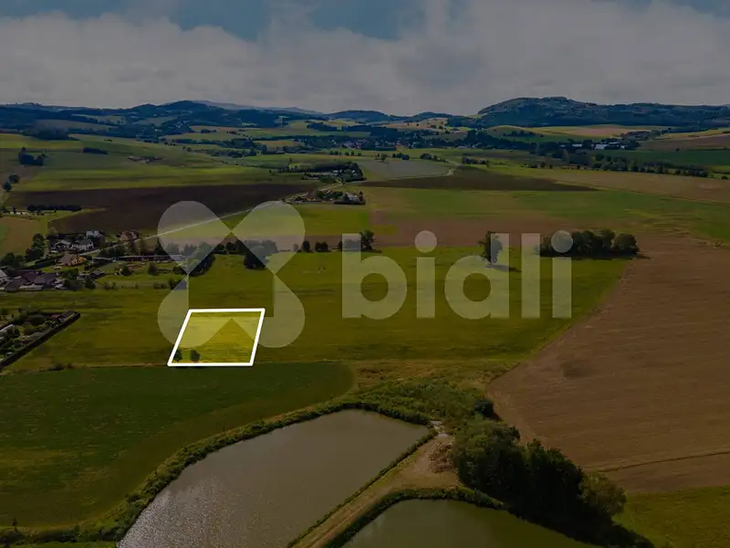 Prodej stavebního pozemku 2990 m², Nýrsko – náhled fotky 1